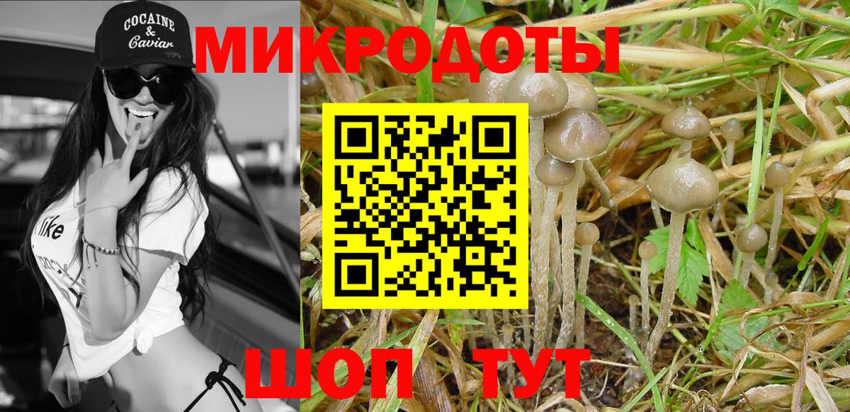 Псилоцибиновые грибы Cubensis  Вход с VPN  Корсаков 